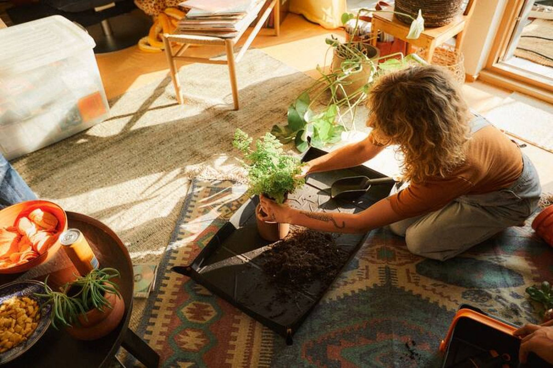 Stwórz roślinną oazę w Twoim domu z Fiskars - nowa linia narzędzi Urban Plant Care